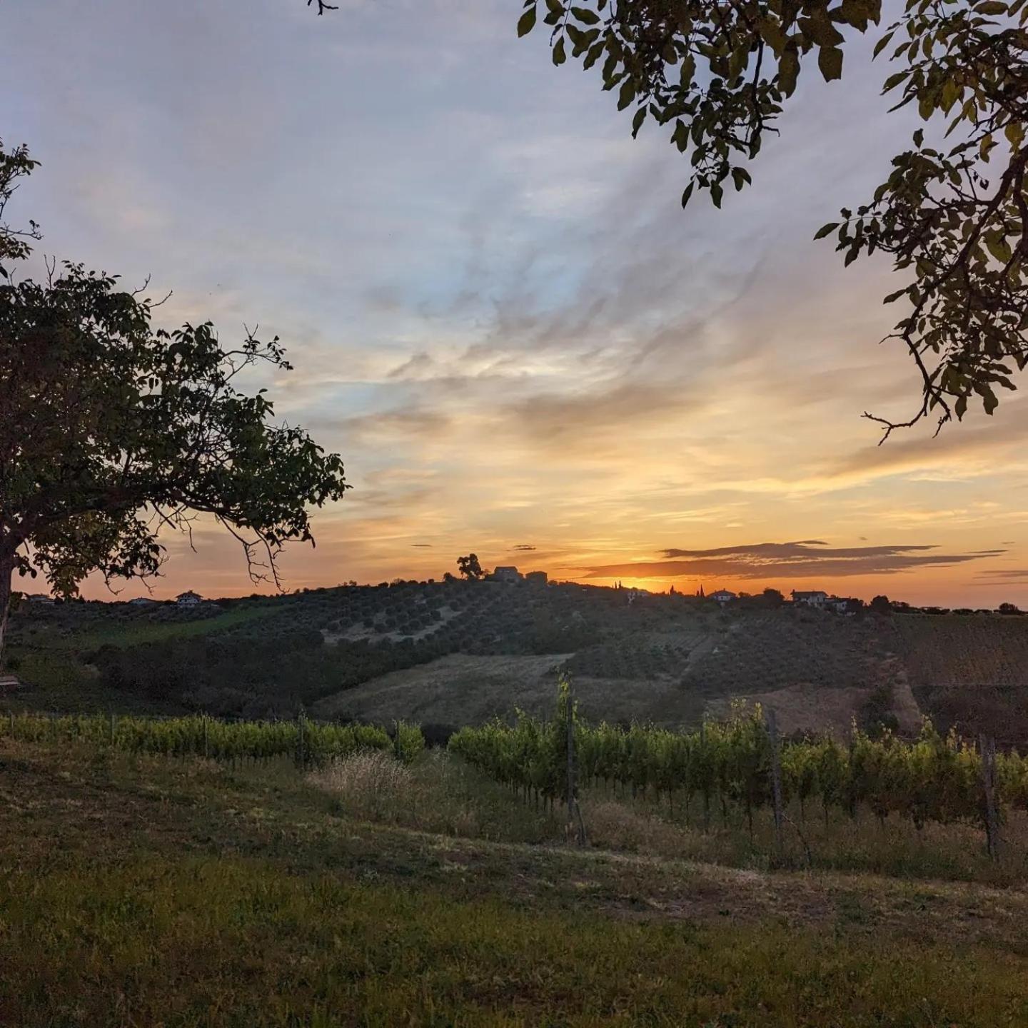 Agriturismo Torre Mannella - La Loggia Citta Sant'Angelo Eksteriør bilde